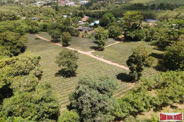 Land, For Sale