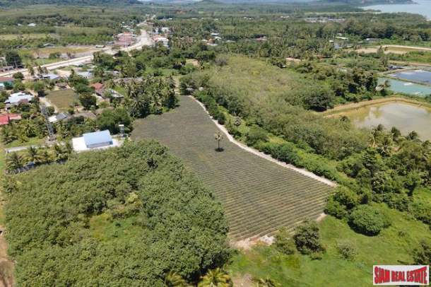 ApartmentFor Sale, Mission Hill, Phuket