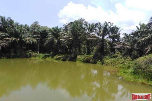 Land, For Sale Land, For Sale
