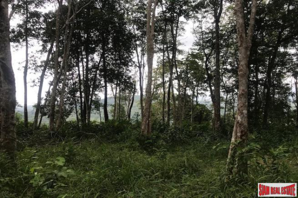 Land, For Sale Land, For Sale