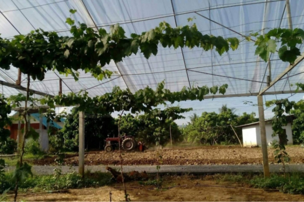 Commercial Property, For Sale