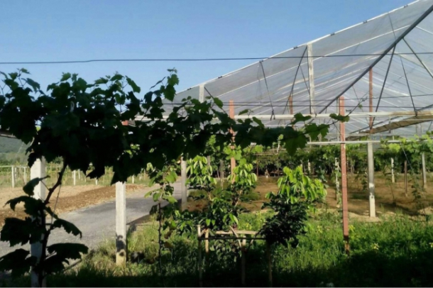 Commercial Property, For Sale