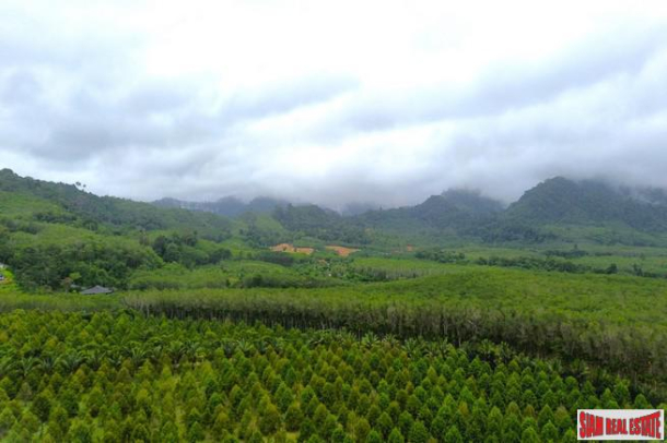 Commercial Property, For Sale