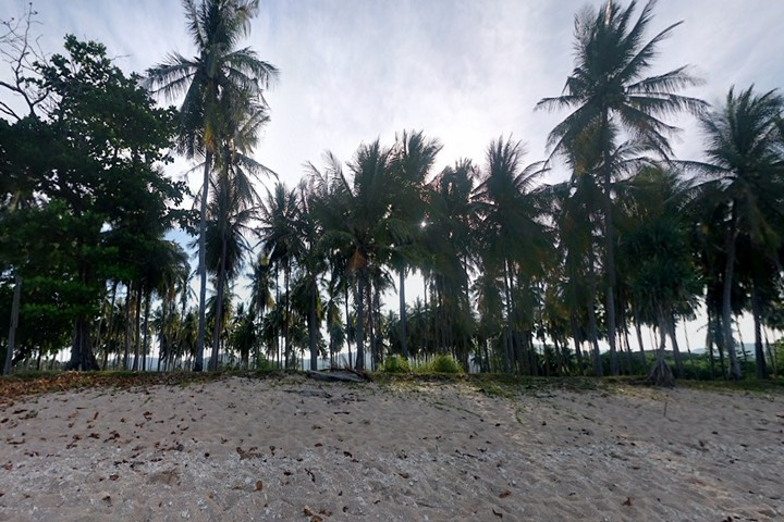 Land, For Sale Land, For Sale