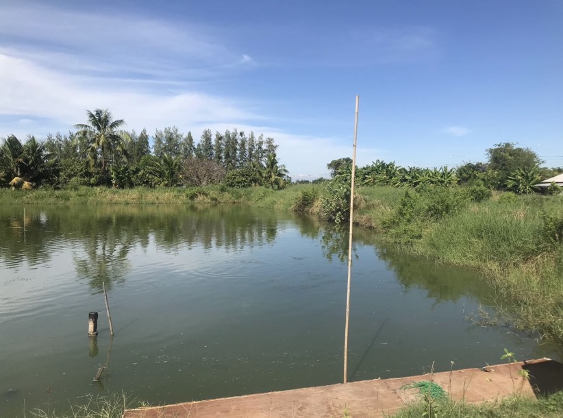 2 Bed, 2 Bath, HouseFor Sale, Phrom Phong, Bangkok