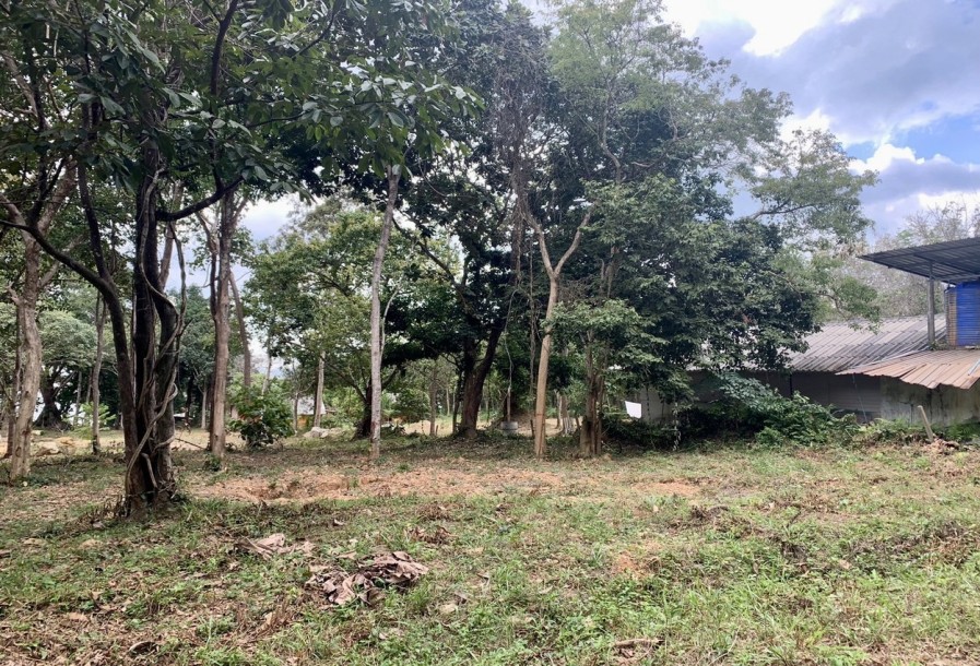 Land, For Sale