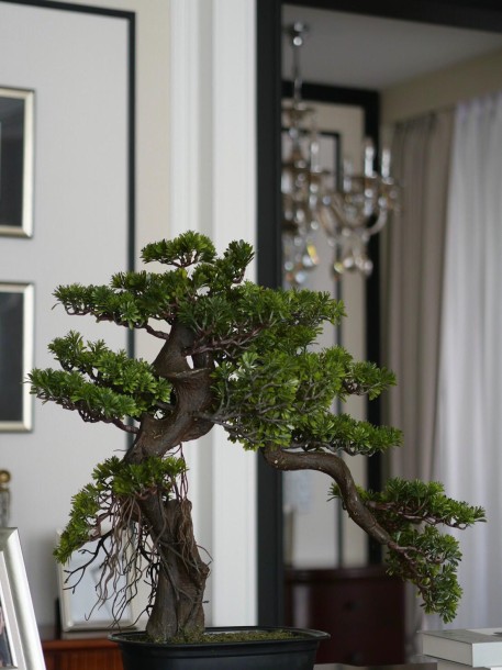 2 Bath, ApartmentFor Sale, Sukhumvit Soi 21-39, Bangkok