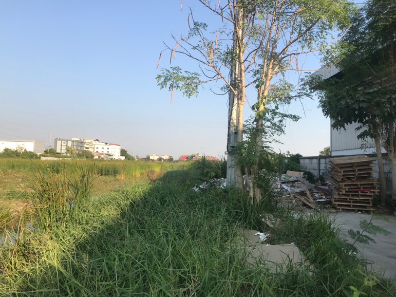 Land, For Sale Land, For Sale