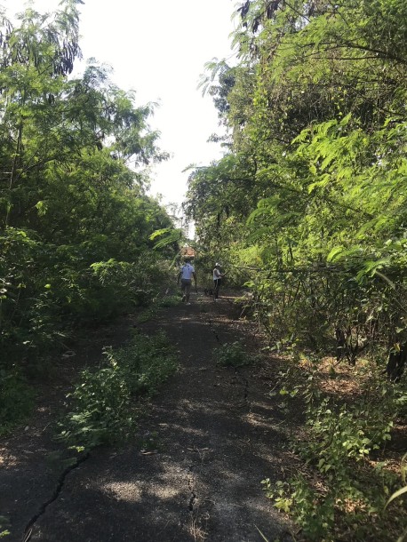 Land, For Sale Land, For Sale