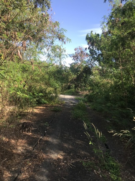 Land, For Sale Land, For Sale