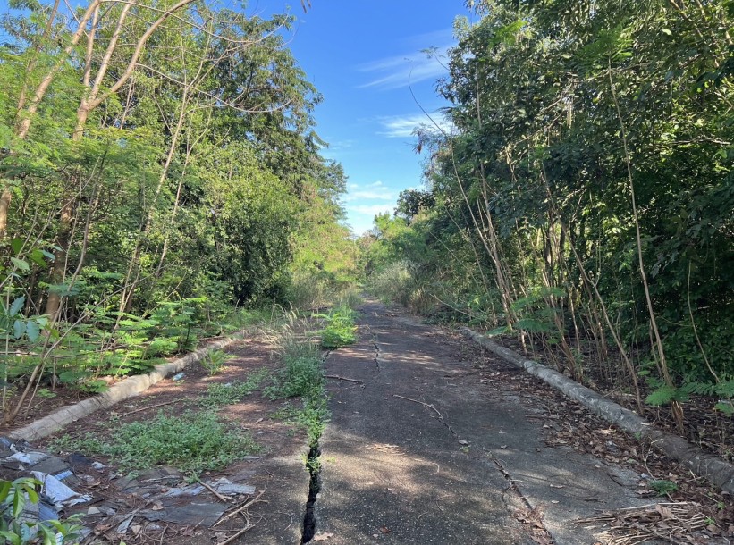 Land, For Sale Land, For Sale