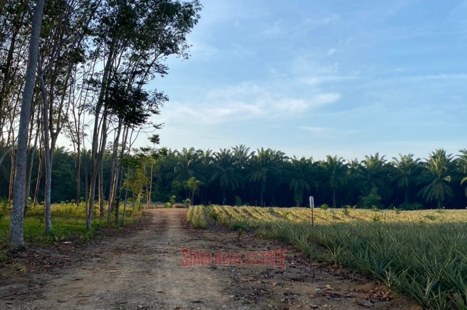 Land, For Sale