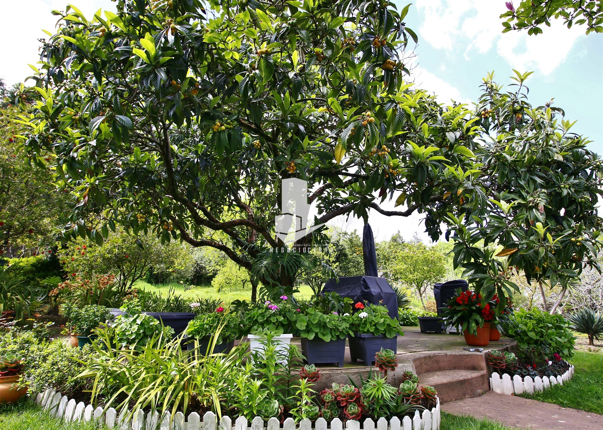 4 Bed, 2 Bath, HouseFor Sale, Leiria, Leiria, 2400-235