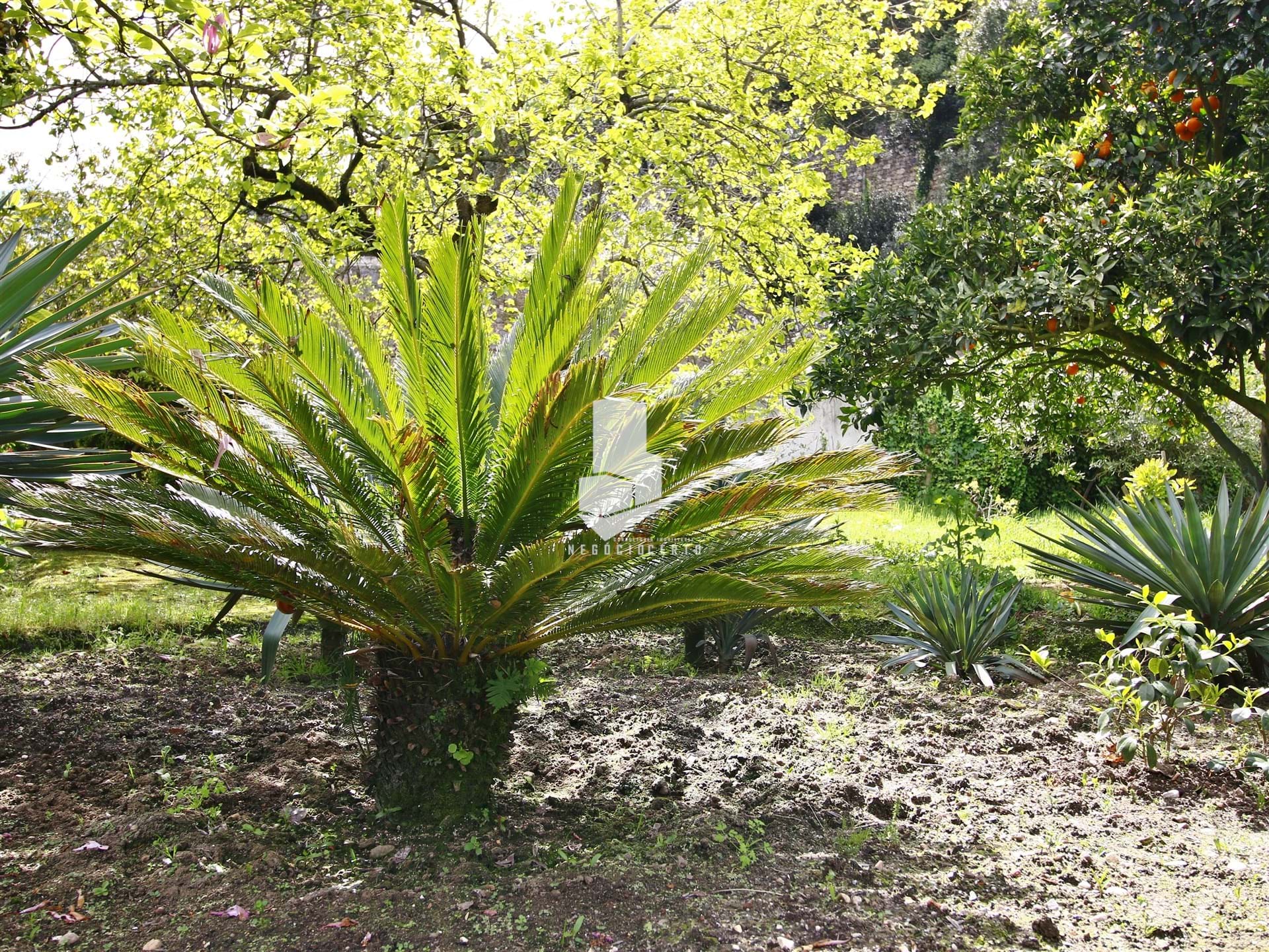 4 Bed, 2 Bath, HouseFor Sale, Leiria, Leiria, 2400-235