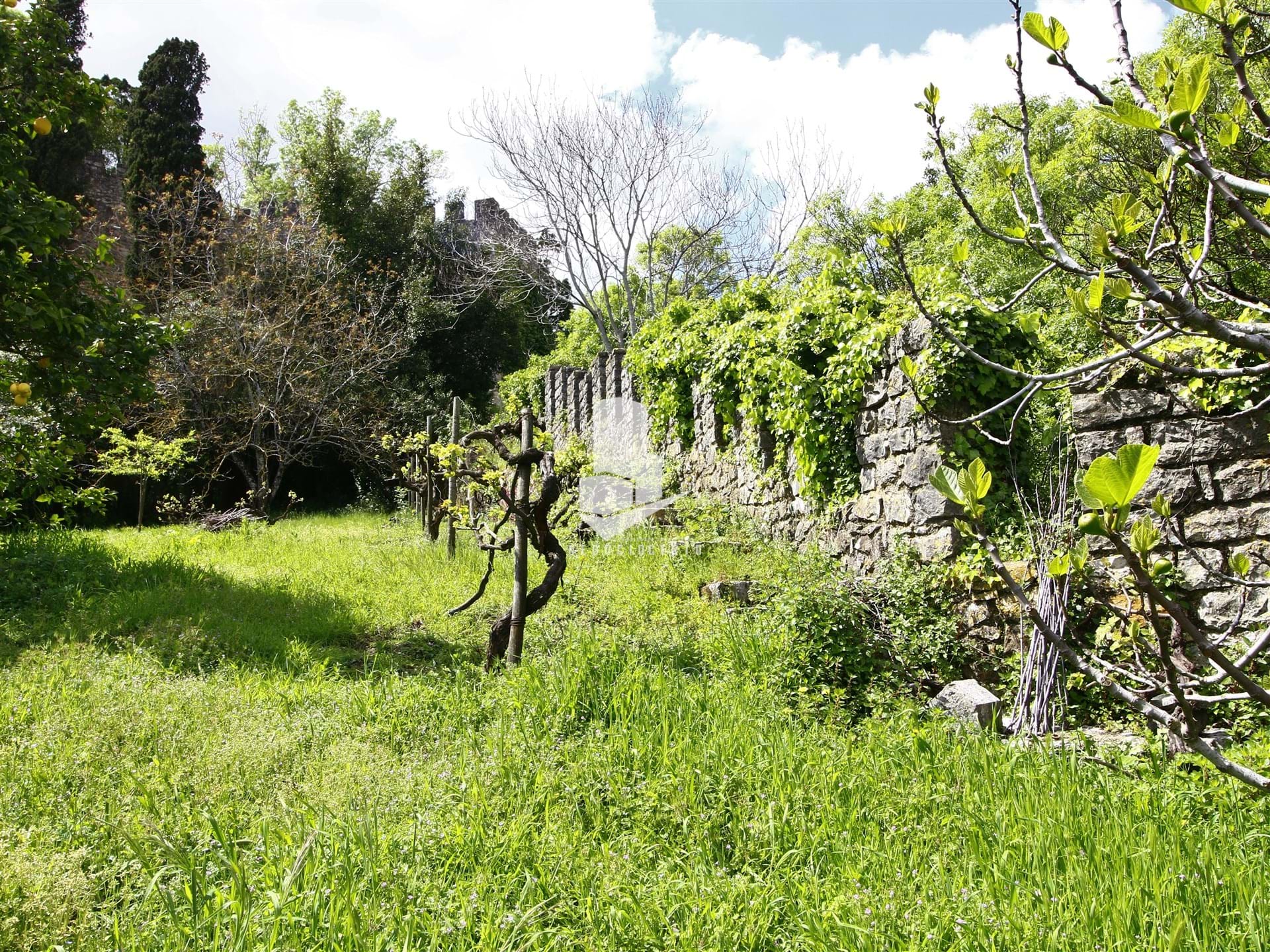 4 Bed, 2 Bath, HouseFor Sale, Leiria, Leiria, 2400-235