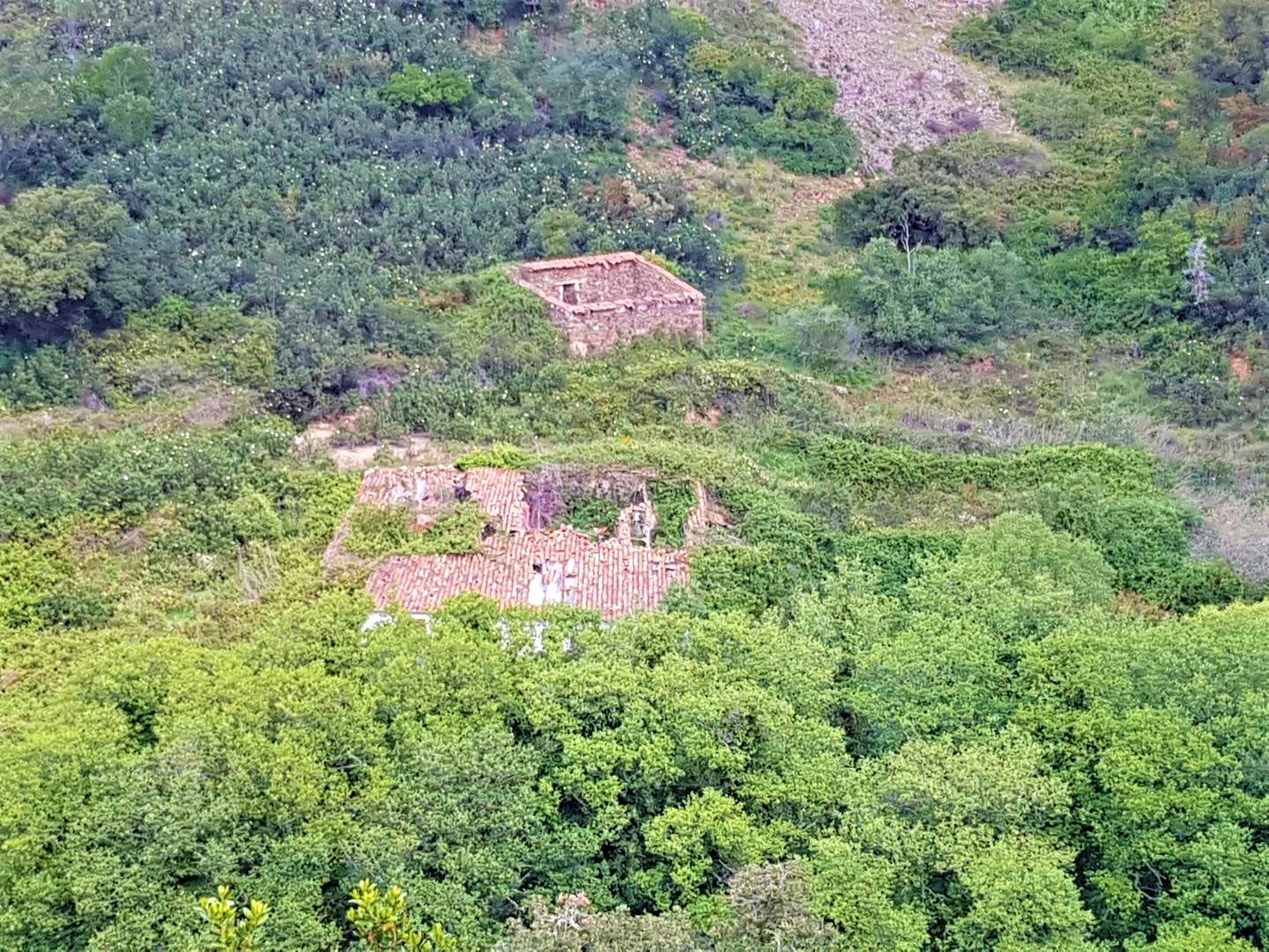 Land, For Sale Land, For Sale