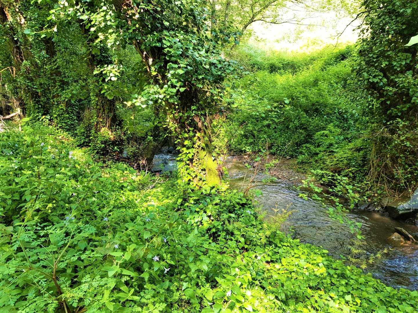 Land, For Sale Land, For Sale