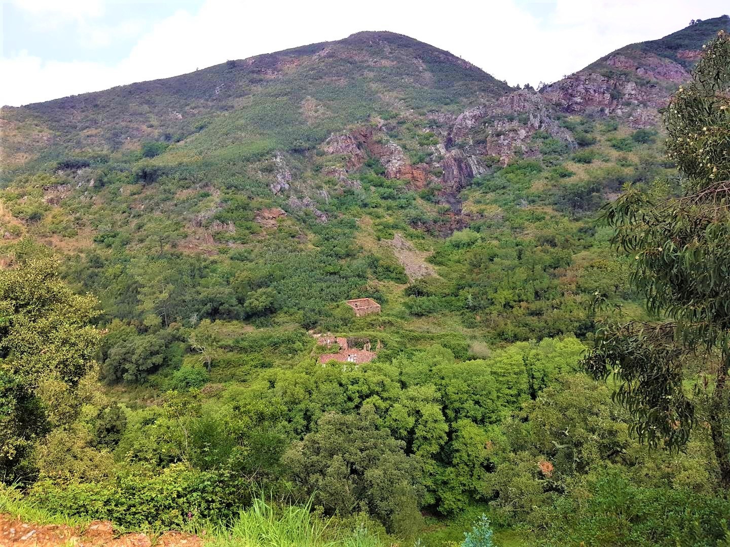 Land, For Sale Land, For Sale
