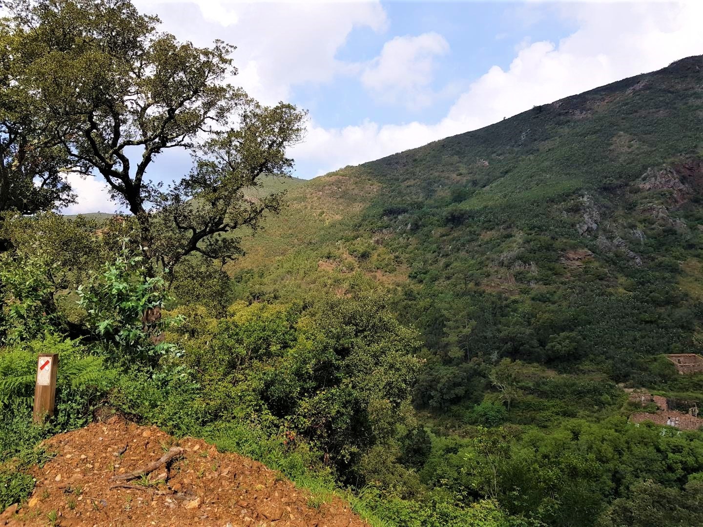 Land, For Sale Land, For Sale