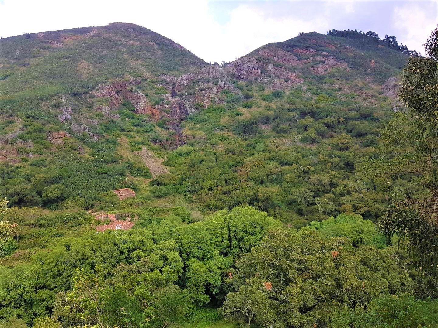 Land, For Sale Land, For Sale