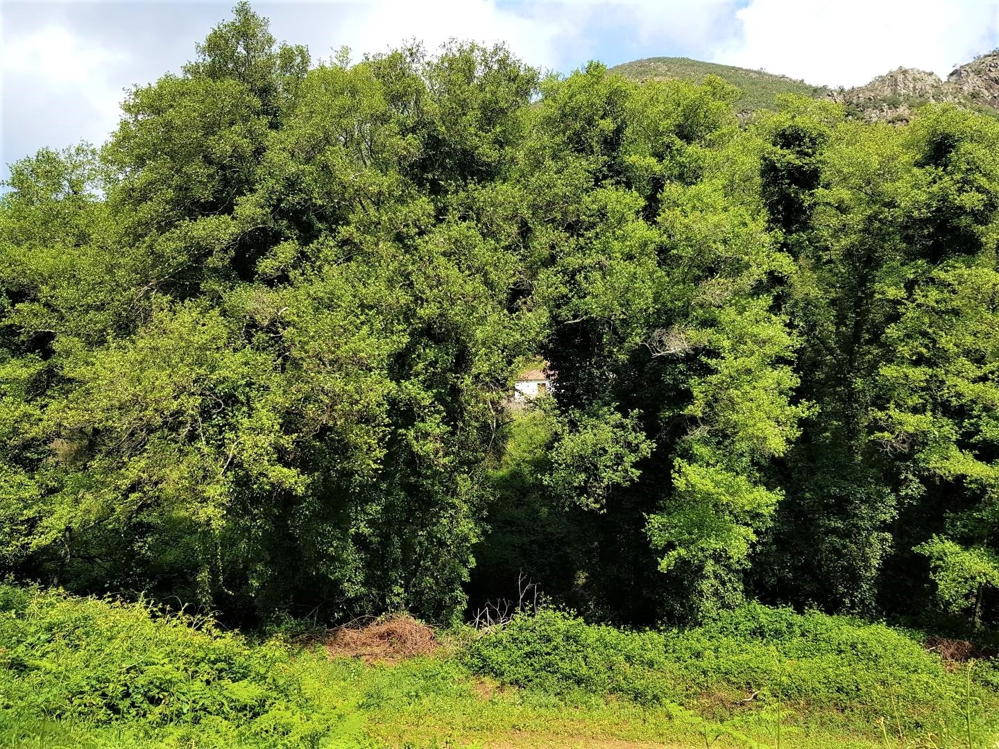 Land, For Sale Land, For Sale