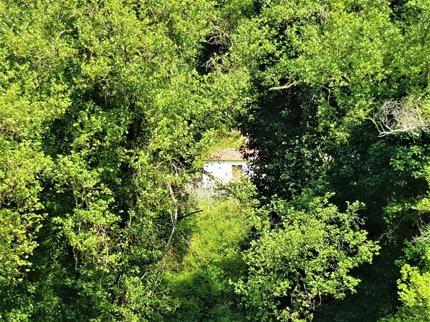 Land, For Sale Land, For Sale