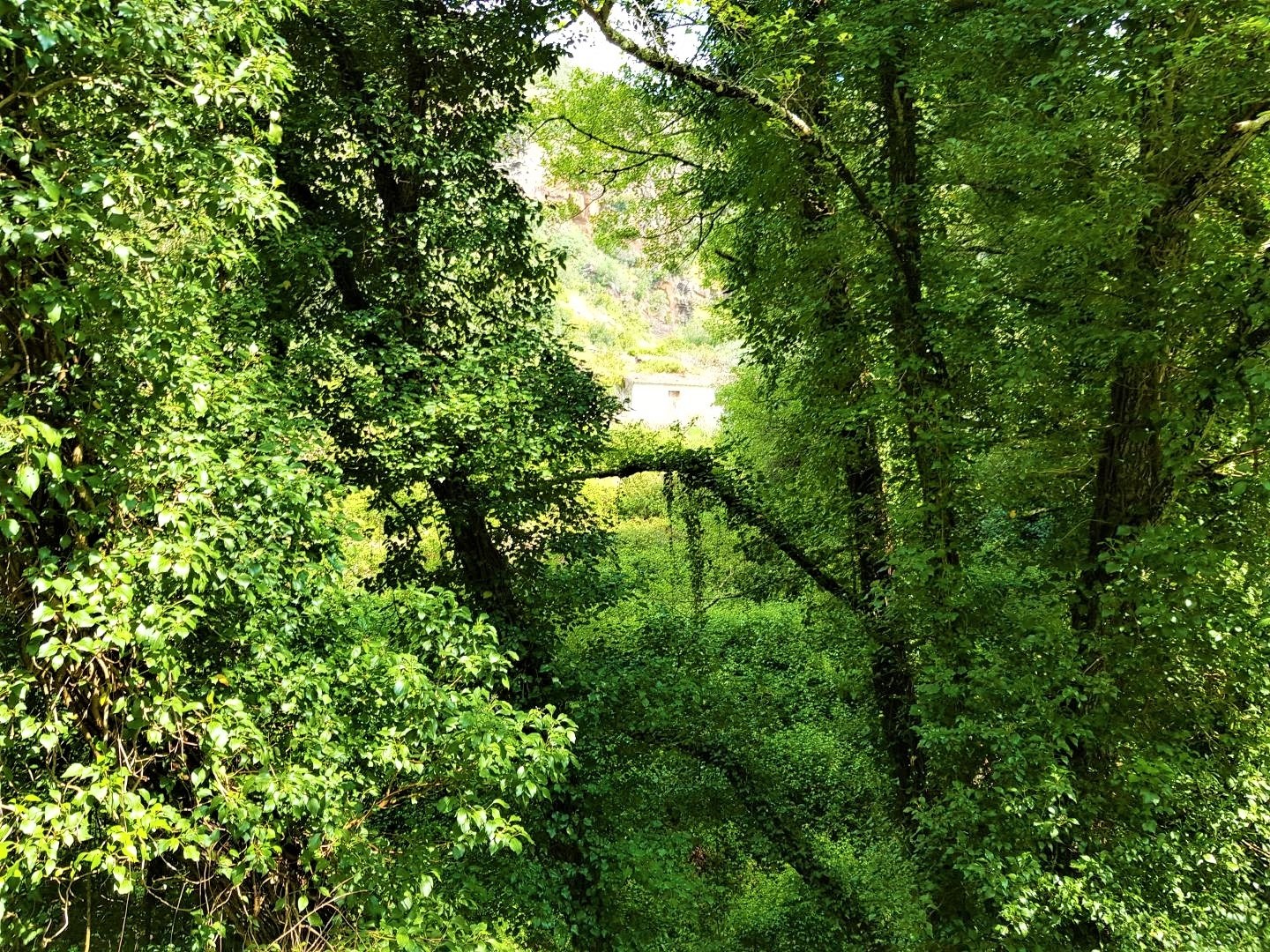 Land, For Sale Land, For Sale