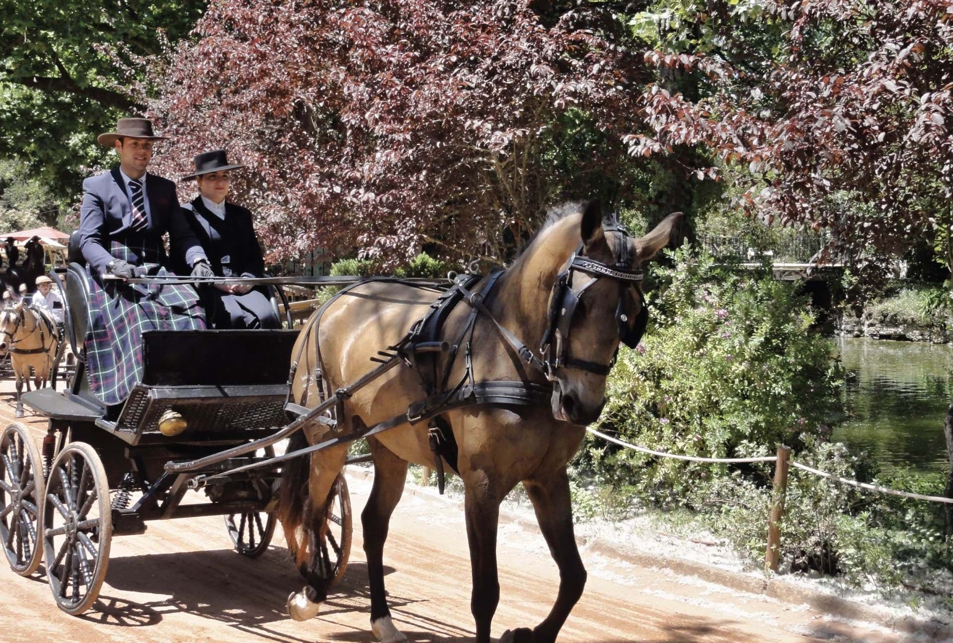 3 Bed, 3 Bath, HouseFor Sale, Caldas da Rainha, Leiria, 2500-287