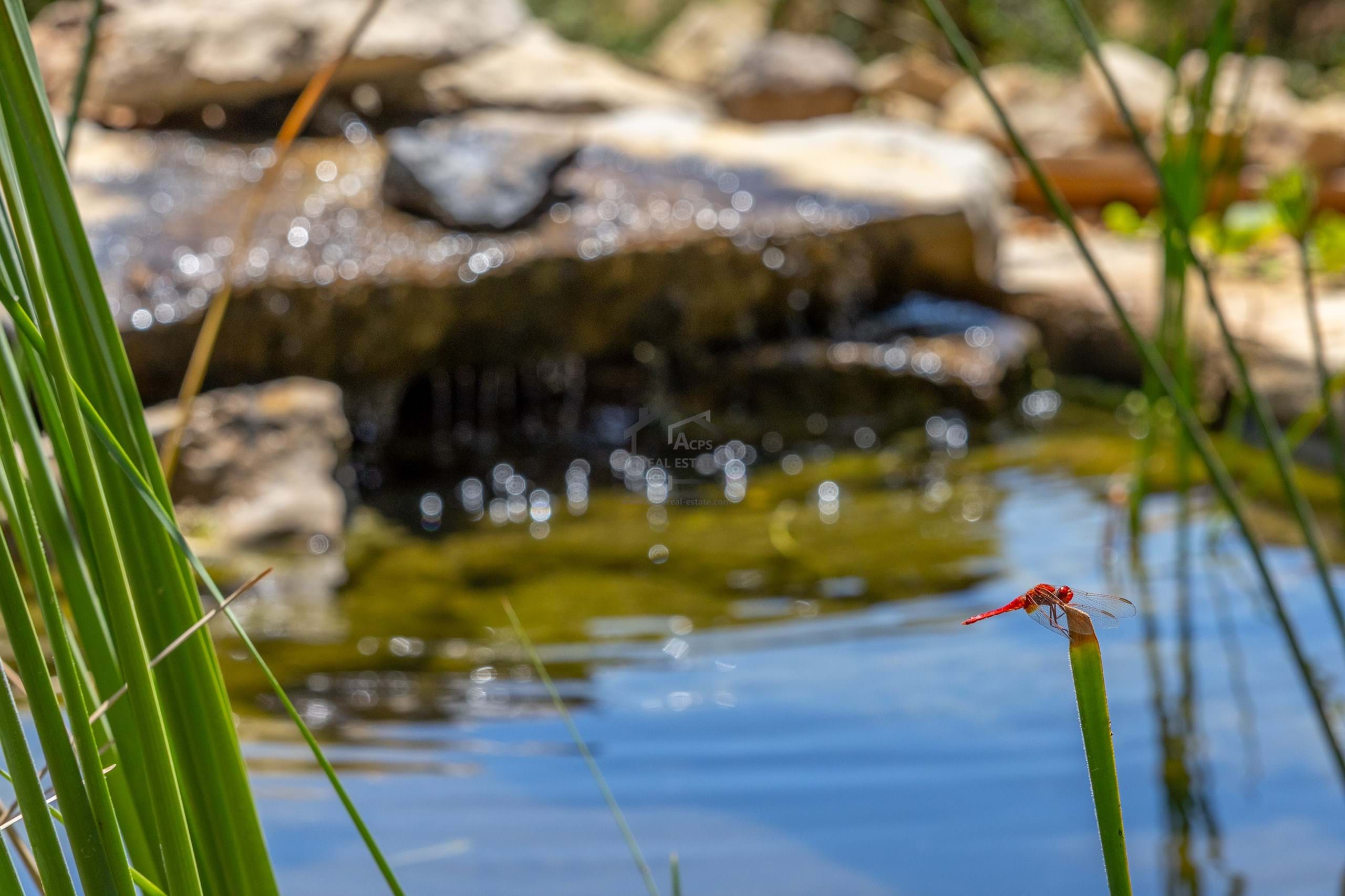 3 Bed, 2 Bath, HouseFor Sale, Loulé, Faro, 8100-226 3 Bed, 2 Bath, HouseFor Sale, Loulé, Faro, 8100-226