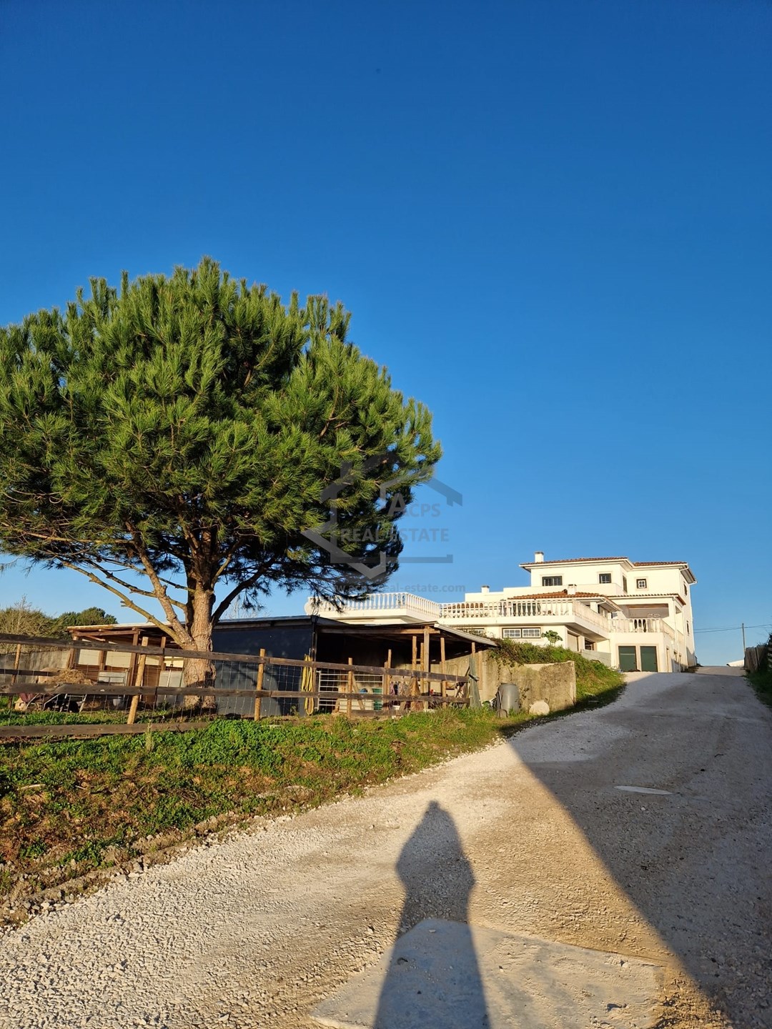 6 Bed, 6 Bath, HouseFor Sale, Bombarral, Leiria 6 Bed, 6 Bath, HouseFor Sale, Bombarral, Leiria