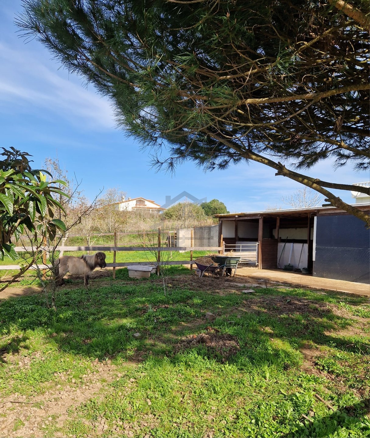 6 Bed, 6 Bath, HouseFor Sale, Bombarral, Leiria 6 Bed, 6 Bath, HouseFor Sale, Bombarral, Leiria