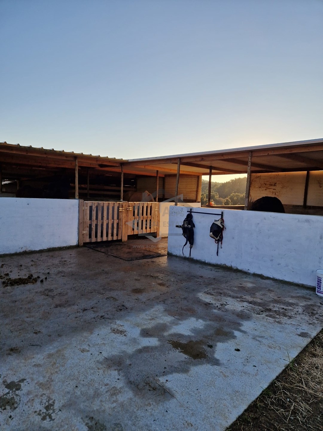 6 Bed, 6 Bath, HouseFor Sale, Bombarral, Leiria 6 Bed, 6 Bath, HouseFor Sale, Bombarral, Leiria