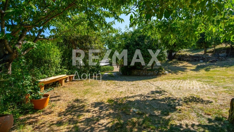 7 Bed, 6 Bath, HouseFor Sale, Center, Mouresi, Magnesia