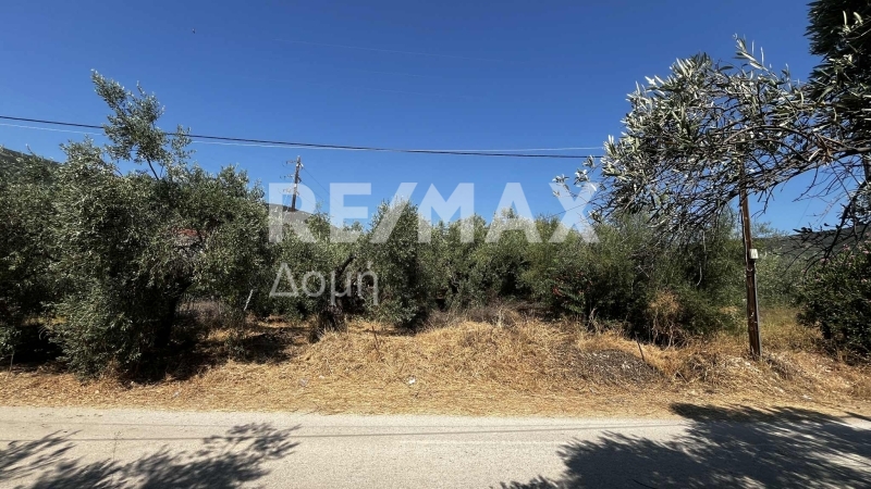 HouseFor Sale, Nies, Sourpi, Magnesia