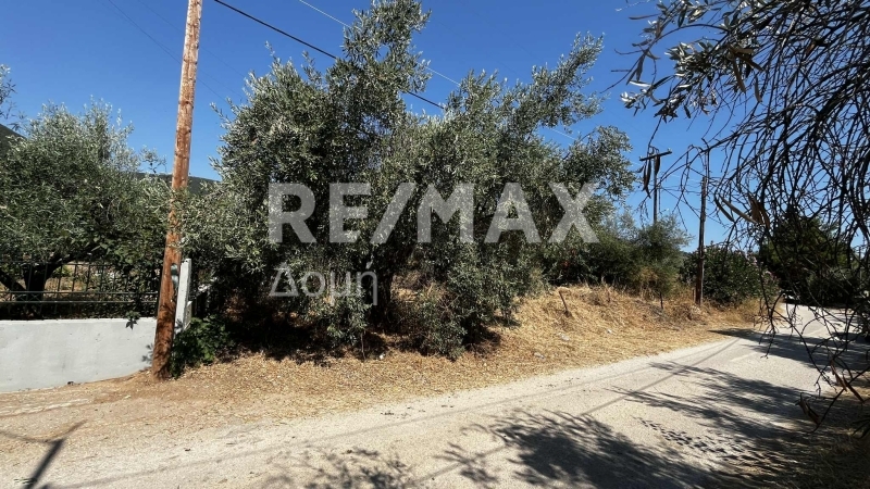 HouseFor Sale, Nies, Sourpi, Magnesia