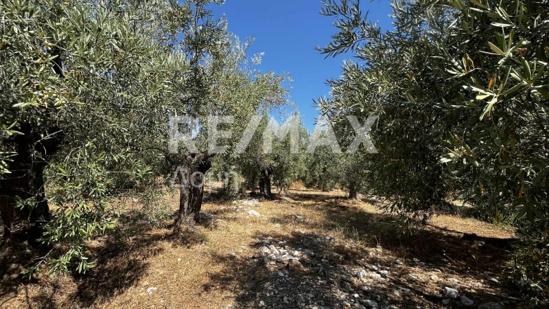 HouseFor Sale, Nies, Sourpi, Magnesia