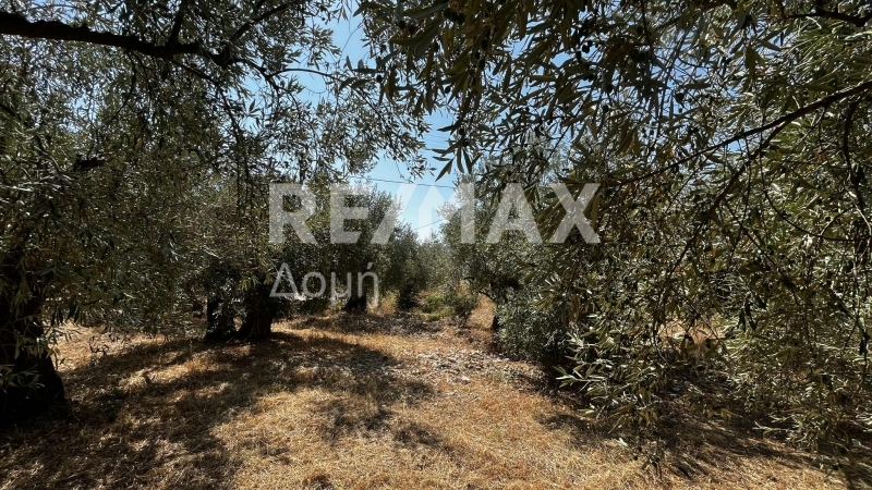 HouseFor Sale, Nies, Sourpi, Magnesia