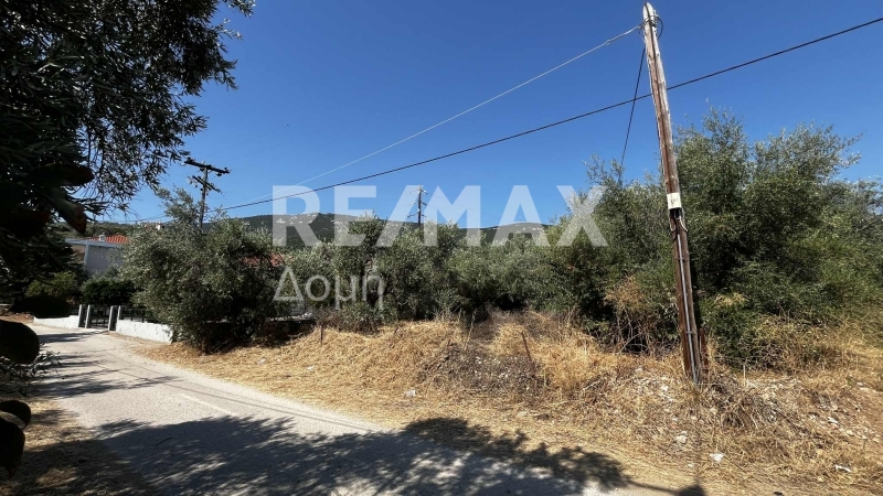 HouseFor Sale, Nies, Sourpi, Magnesia