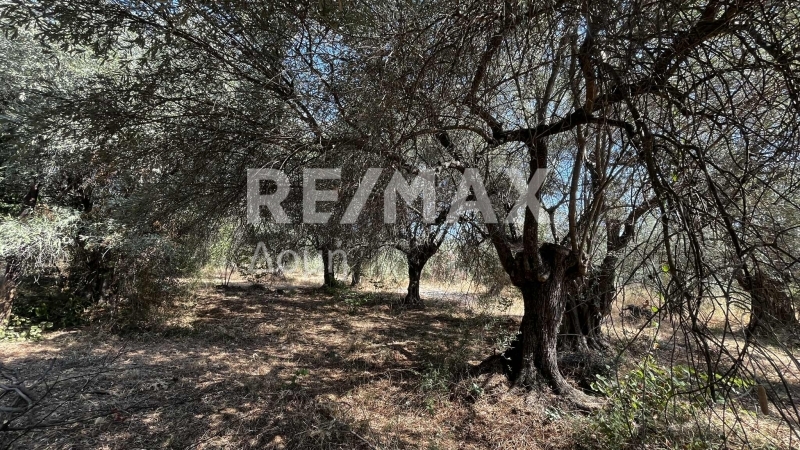 HouseFor Sale, Nies, Sourpi, Magnesia