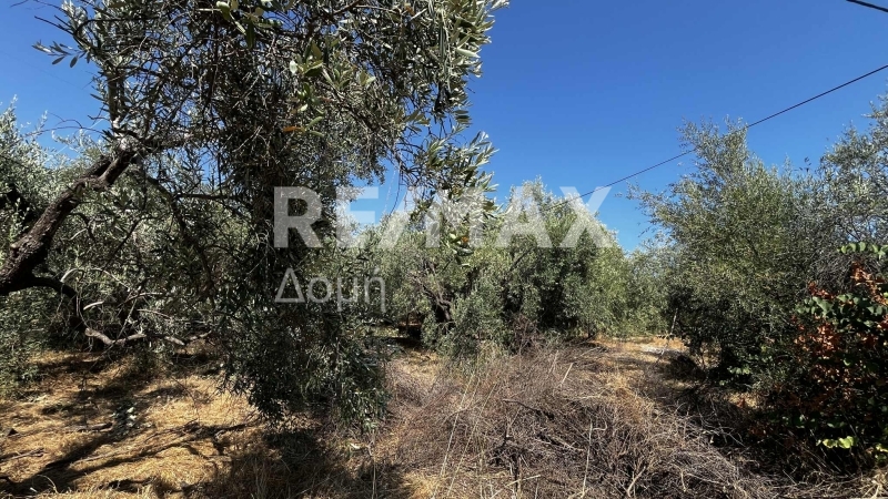 HouseFor Sale, Nies, Sourpi, Magnesia