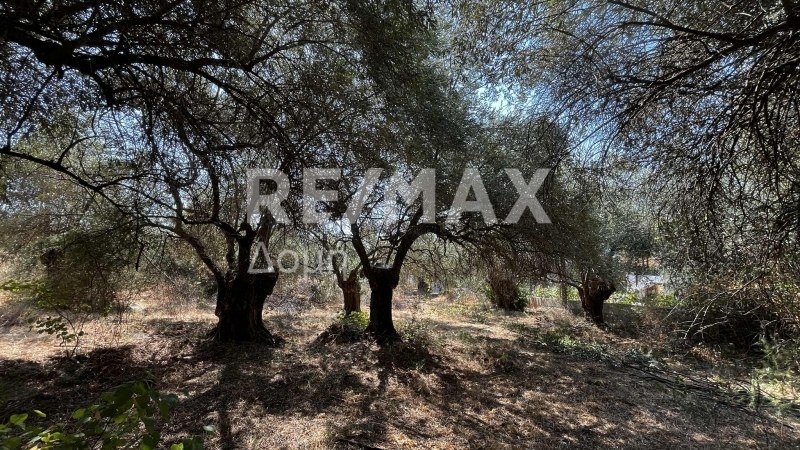 HouseFor Sale, Nies, Sourpi, Magnesia