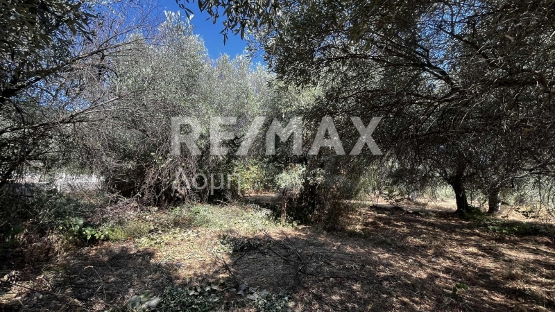 HouseFor Sale, Nies, Sourpi, Magnesia