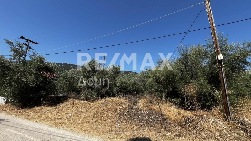 HouseFor Sale, Nies, Sourpi, Magnesia