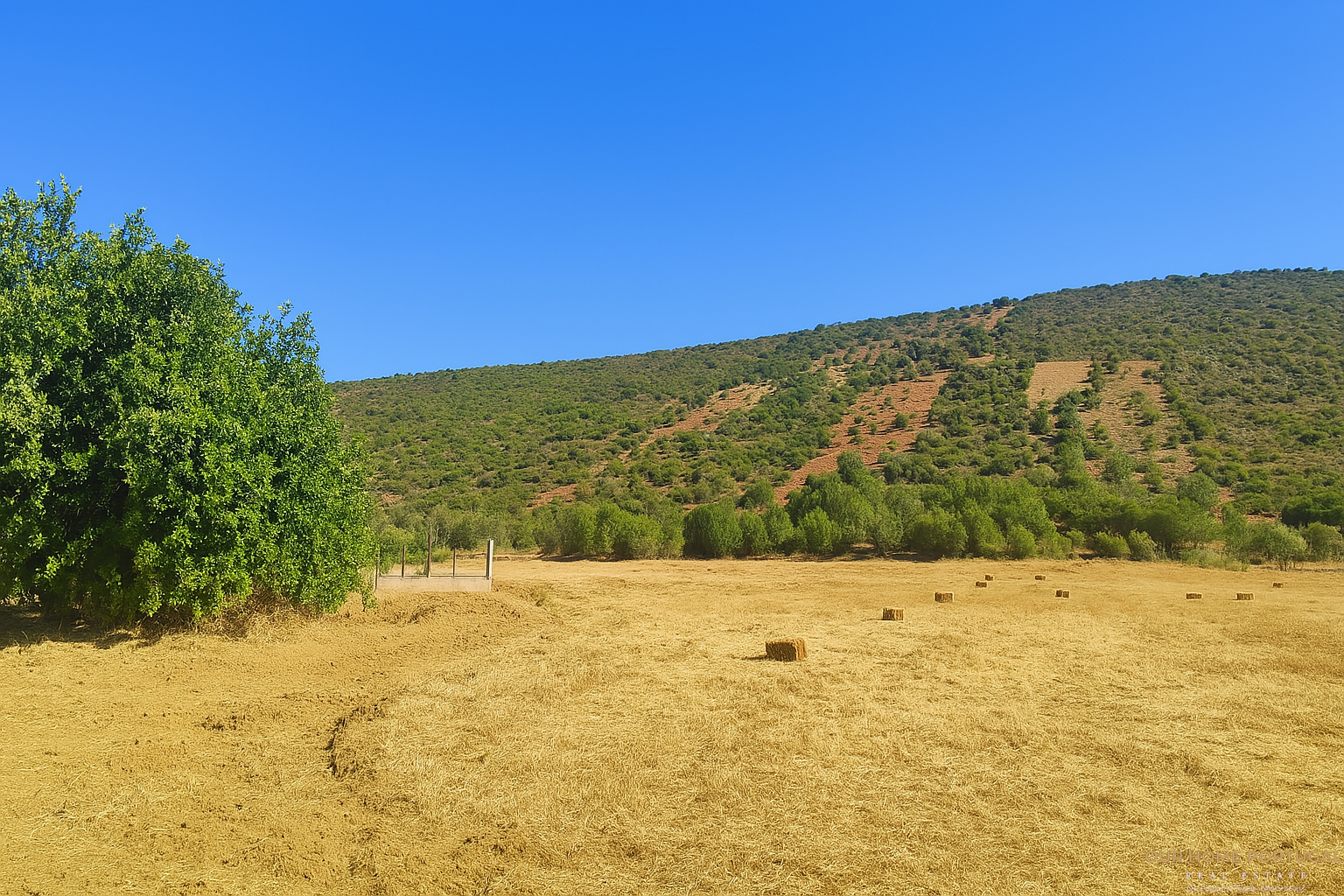 Land, For Sale