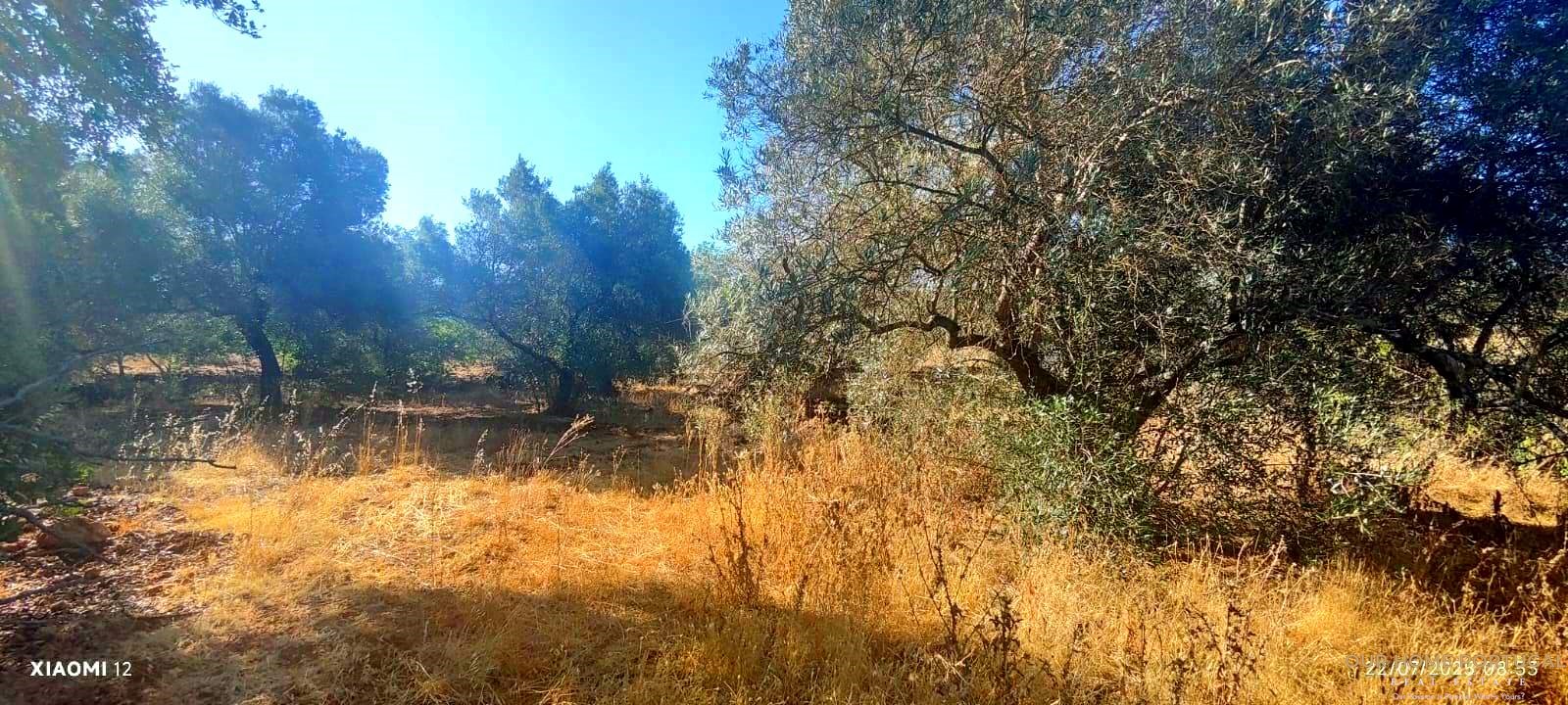 Land, For Sale