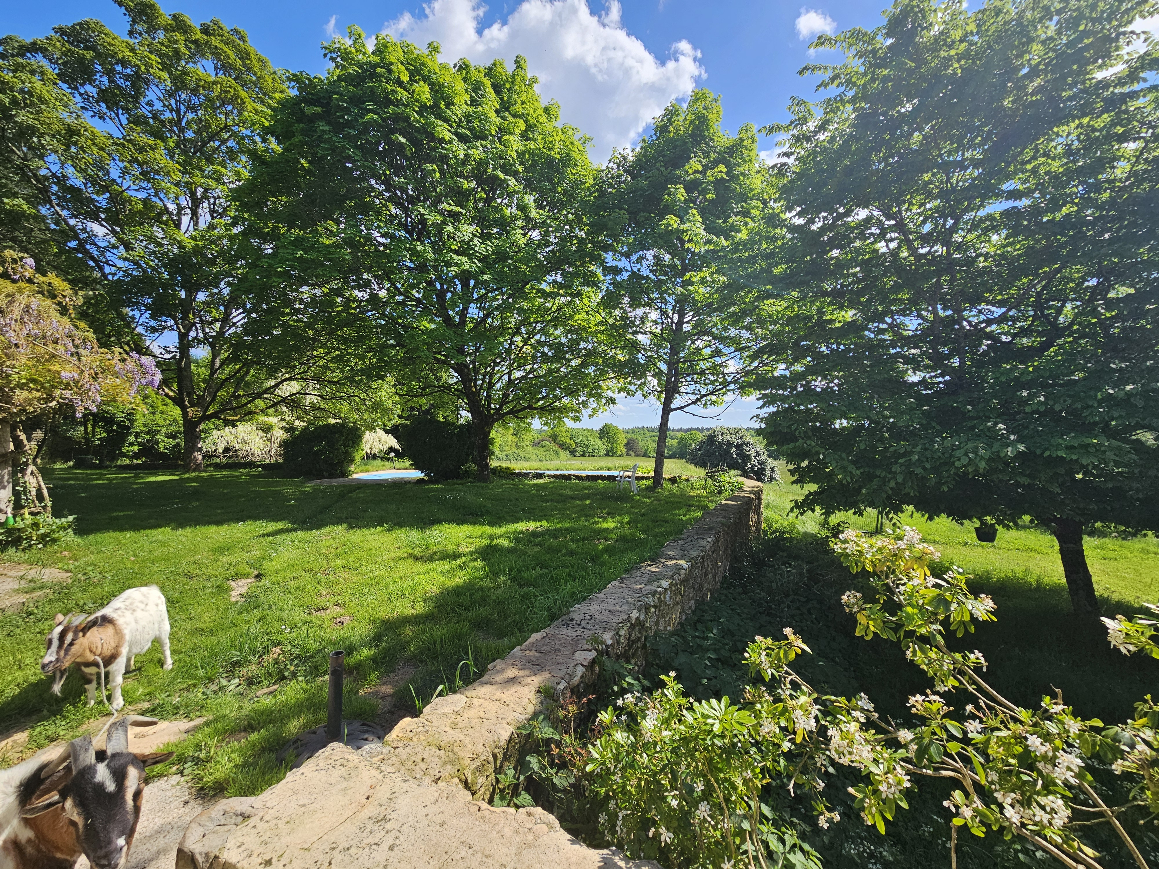 5 Bed, 4 Bath, HouseFor Sale, Pressignac Vicq, Dordogne, Aquitaine, 24150