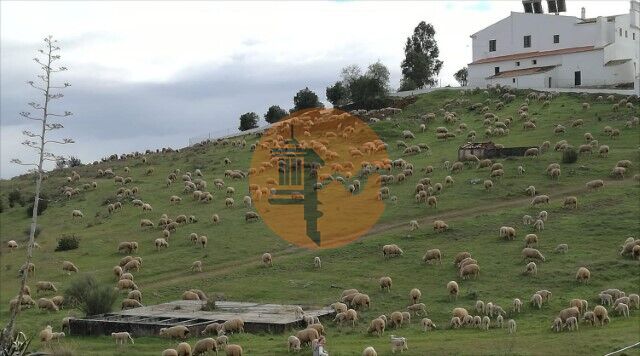 2 Bed, 1 Bath, HouseFor Sale, Mértola, Beja 2 Bed, 1 Bath, HouseFor Sale, Mértola, Beja