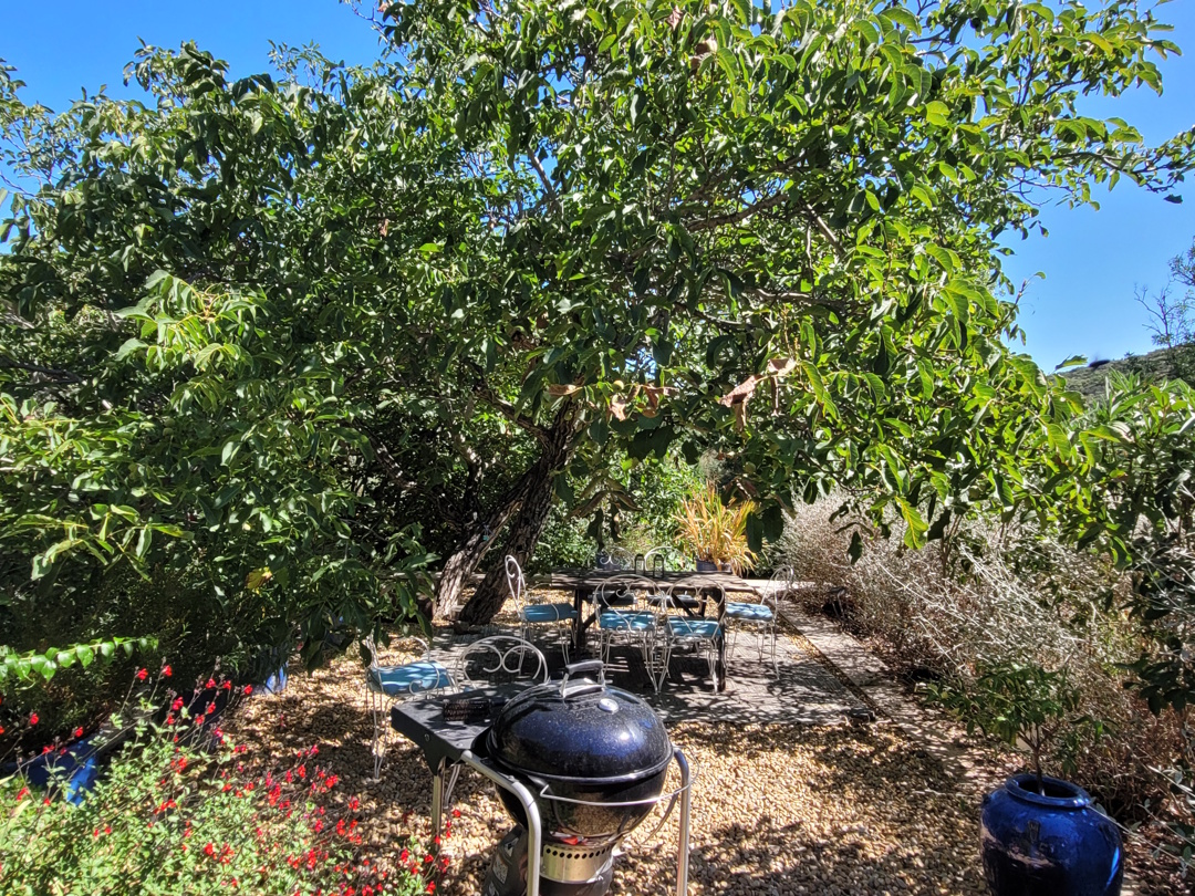 5 Bed, 2 Bath, HouseFor Sale, Laurens, Herault, Languedoc-Roussillon, 34480