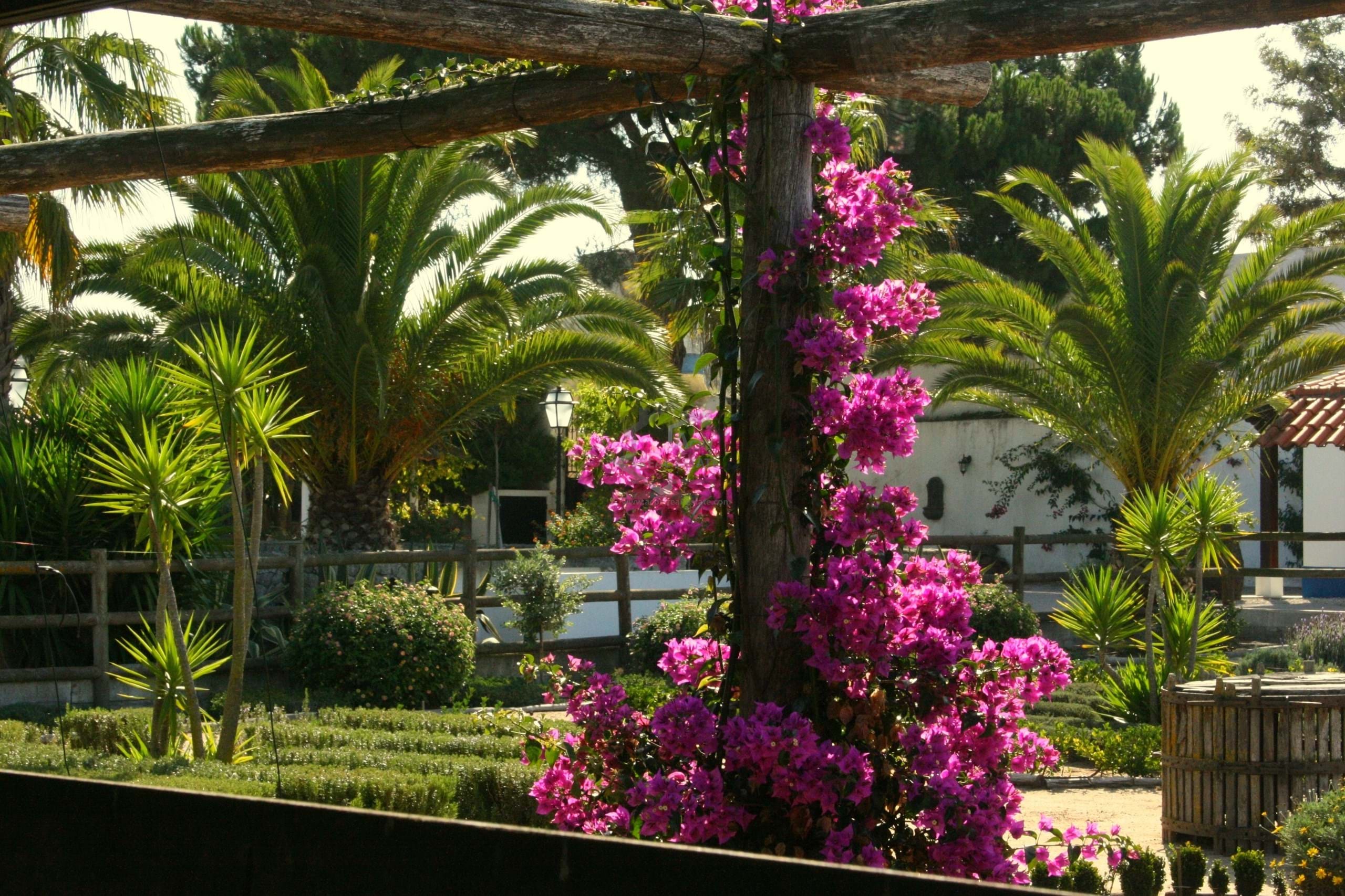 12 Bed, 12 Bath, HouseFor Sale, Obidos, Leiria 12 Bed, 12 Bath, HouseFor Sale, Obidos, Leiria