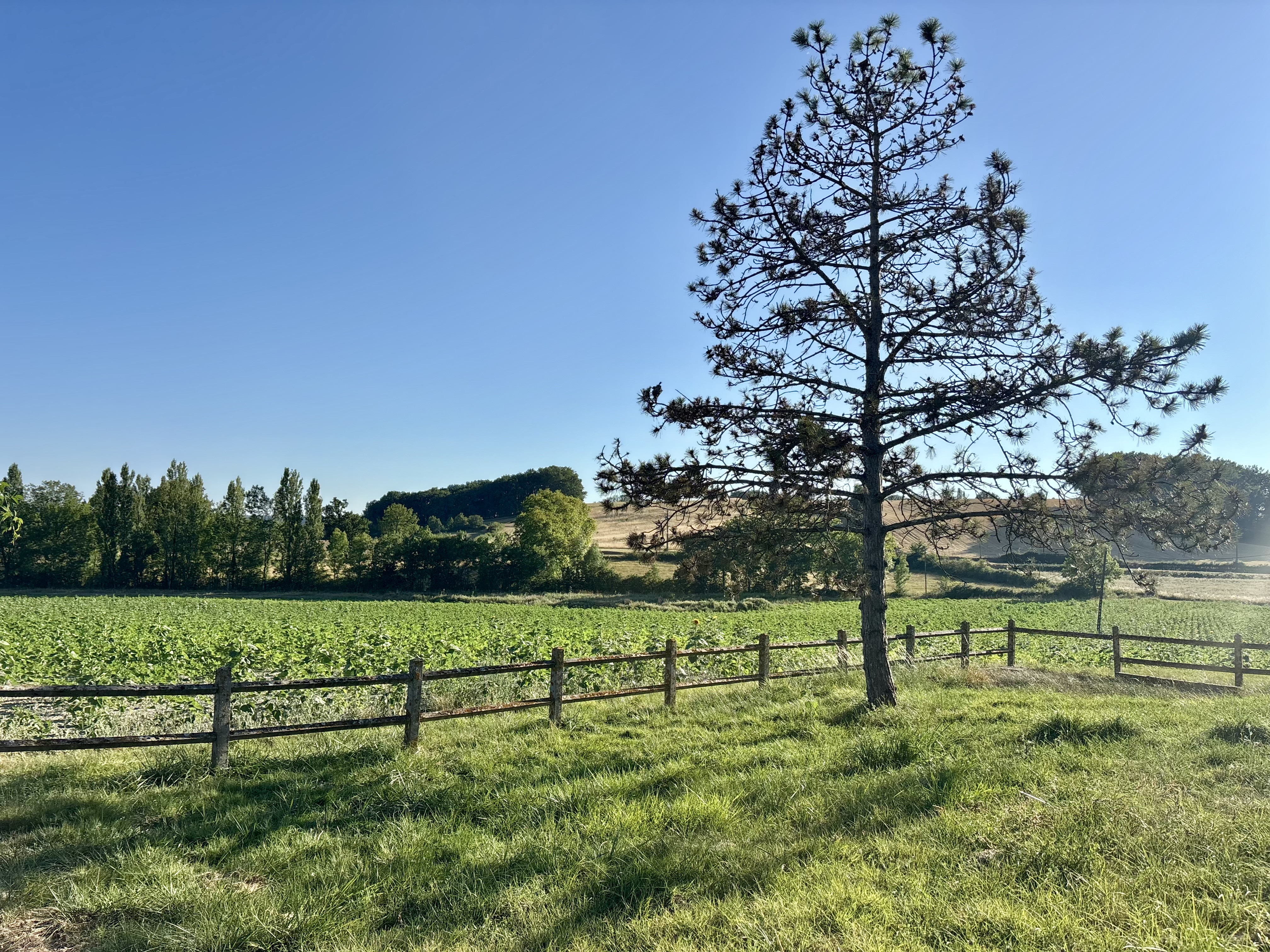 3 Bed, 1 Bath, HouseFor Sale, Saint-Quentin-Du-Dropt, Lot-et-Garonne, Aquitaine, 47330